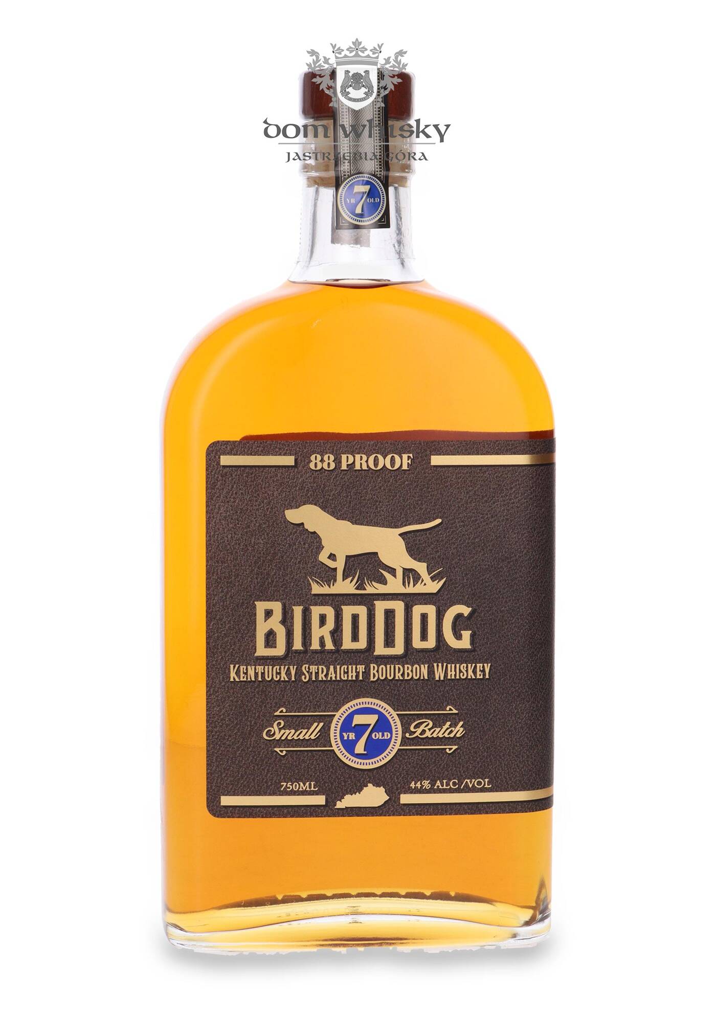 Pourquoi les Bird Dogs Sont Essentiels pour Votre Santé