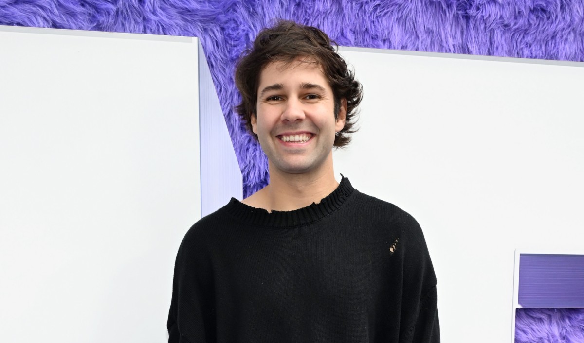 L&rsquo;Ascension et les Défis de David Dobrik