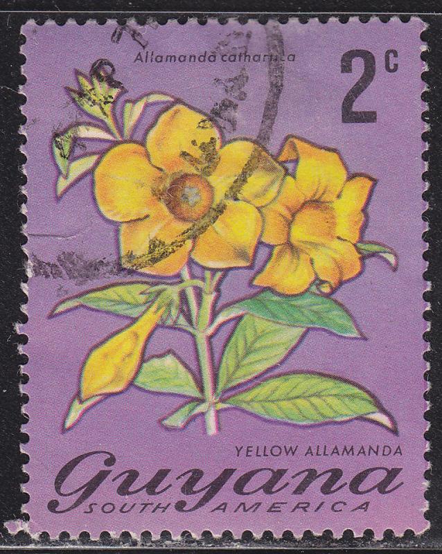 Guyana : Une destination en plein essor en Amérique du Sud