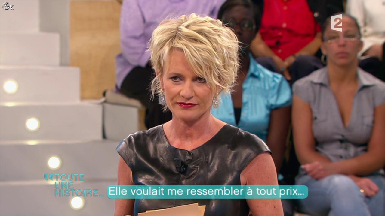 Sophie Davant : Une icône des médias français