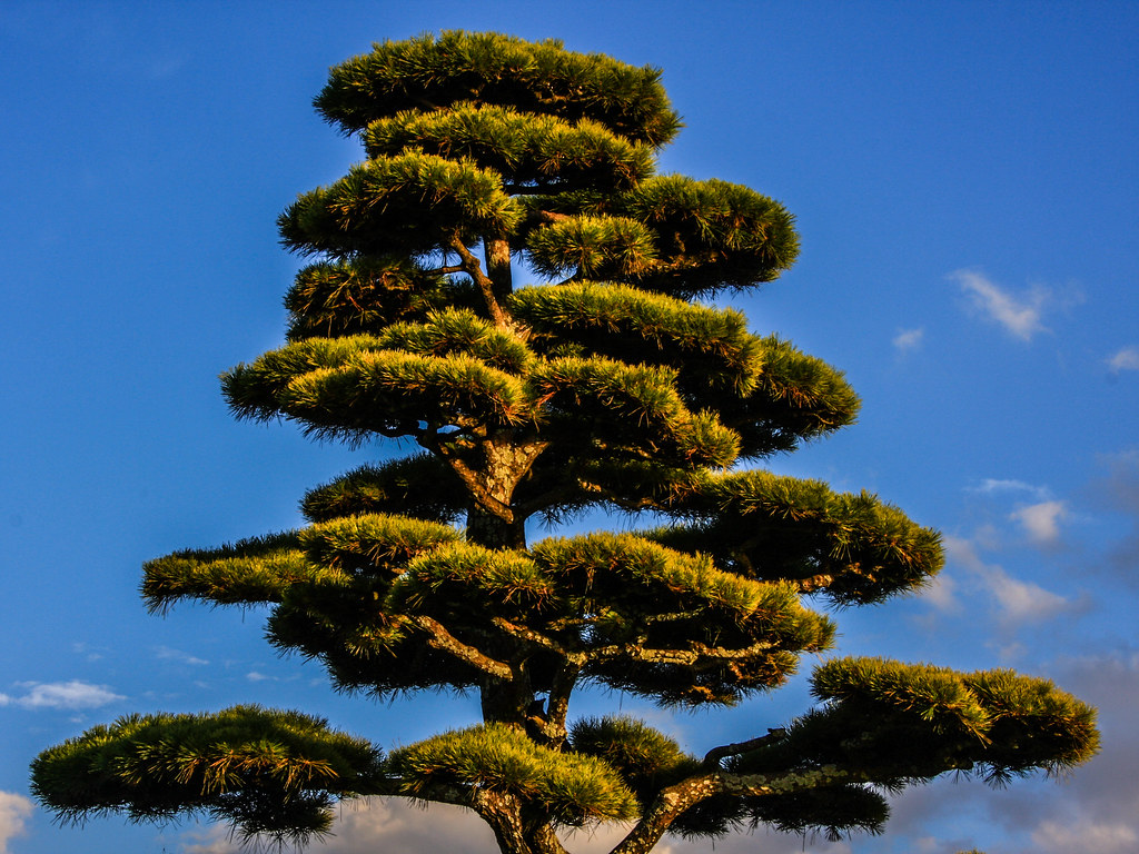 L'économie du Japon en 2023 : état des lieux et perspectives