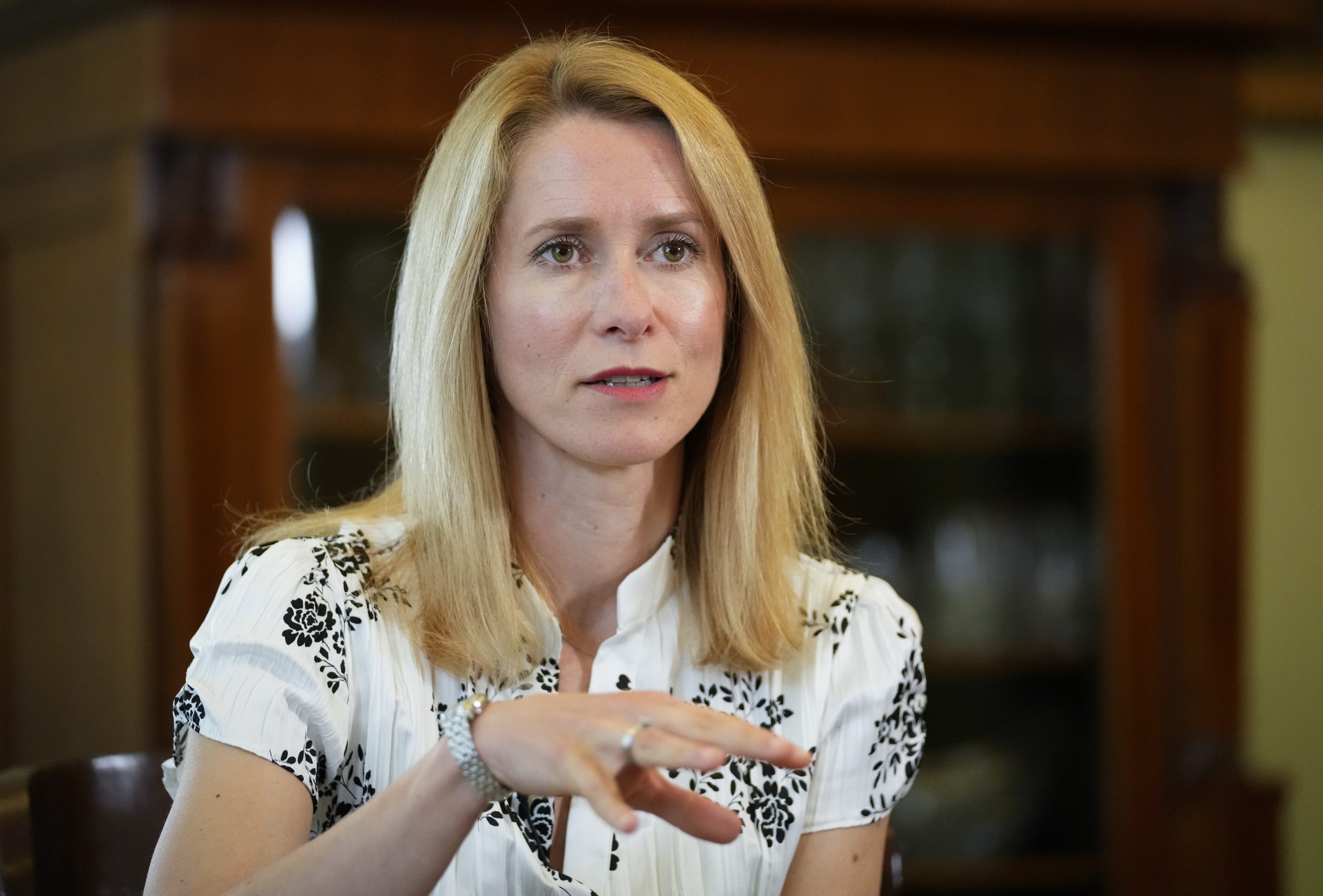 Kaja Kallas : Une Leader au Coeur de la Politique Estonienne