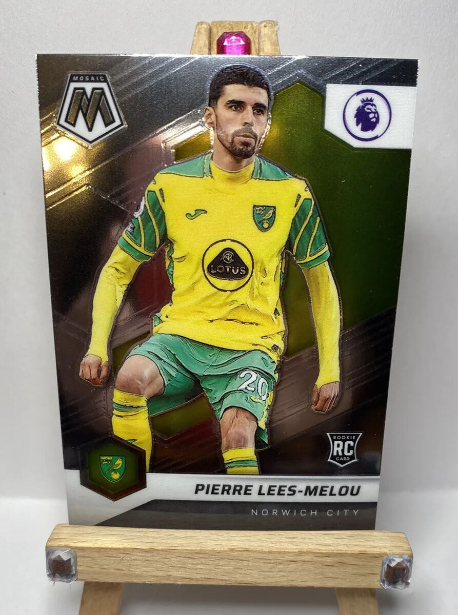 Lees Melou : Un talent émergent sur la scène footballistique