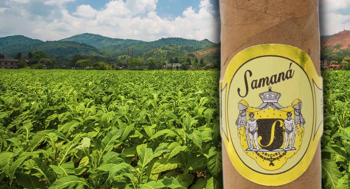 À la découverte de Samana, un trésor de la République Dominicaine