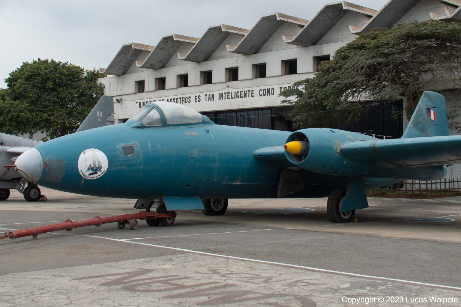 Le concept de survivant : Résilience et inspiration