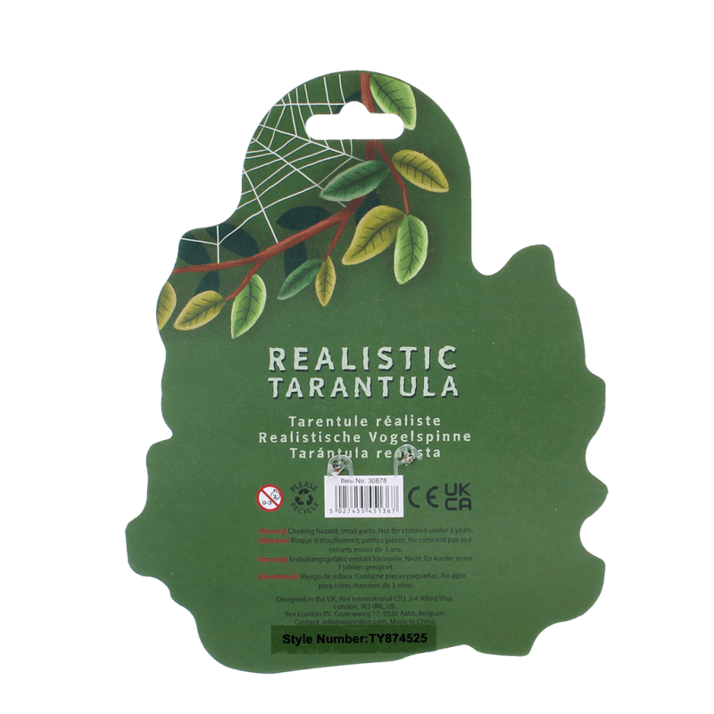 À la Découverte des Tarentules : Caractéristiques et Habitats