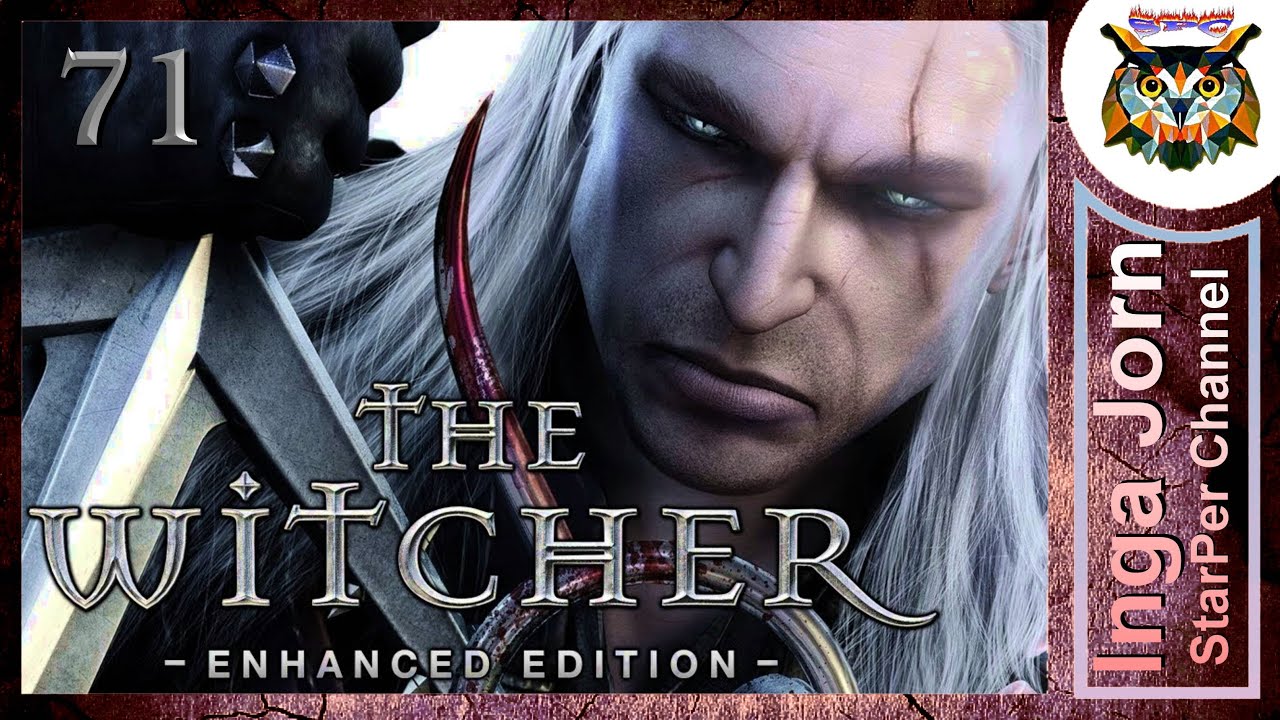 L&rsquo;univers captivant de The Witcher et son avenir