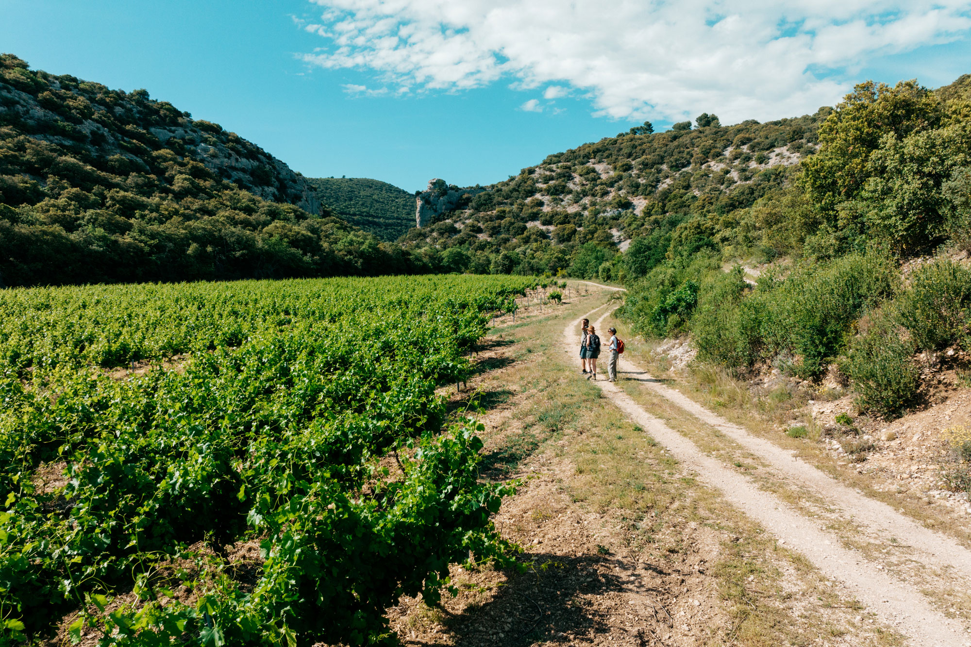 À la Découverte de Vaucluse, un Joyau de Provence