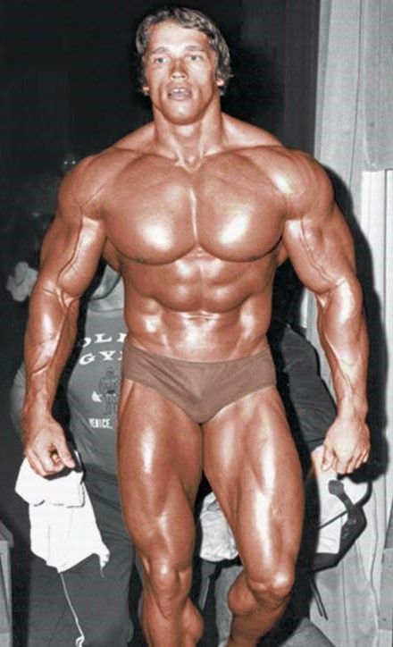 Arnold Schwarzenegger : Un parcours inspirant d&rsquo;icône mondiale