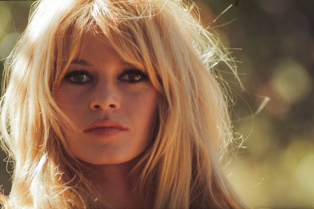 Brigitte Bardot : L'icône et son héritage