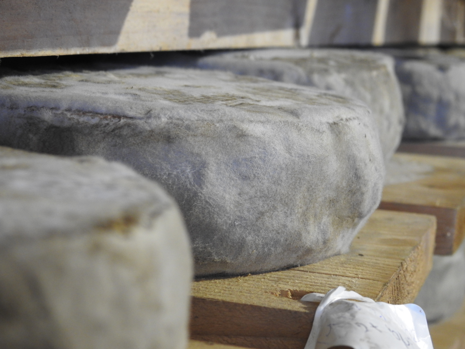 À la découverte du Champsaur : un trésor caché des Alpes françaises