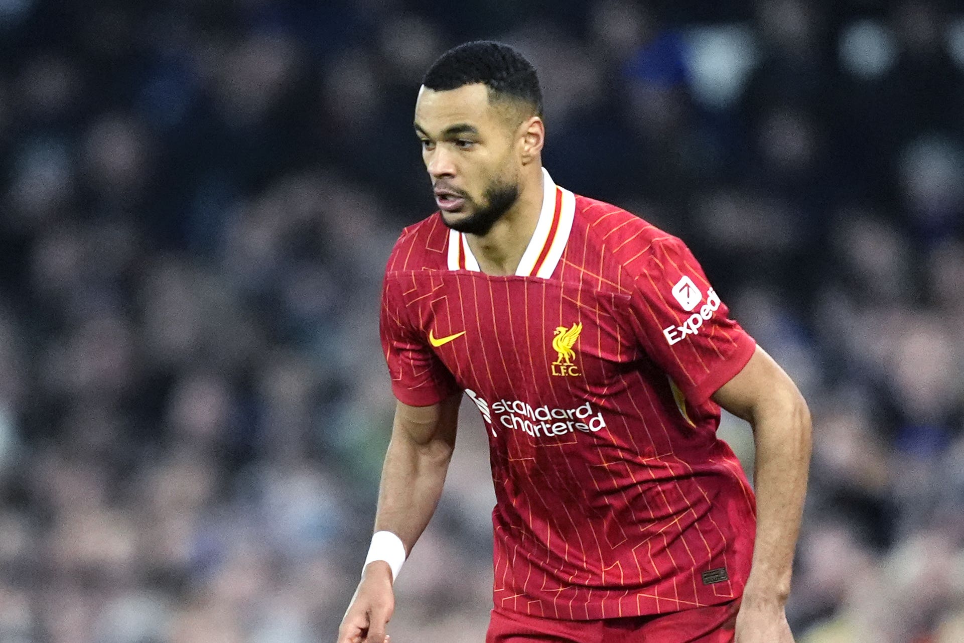 Cody Gakpo : Un Talent Prometteur dans le Football Moderne