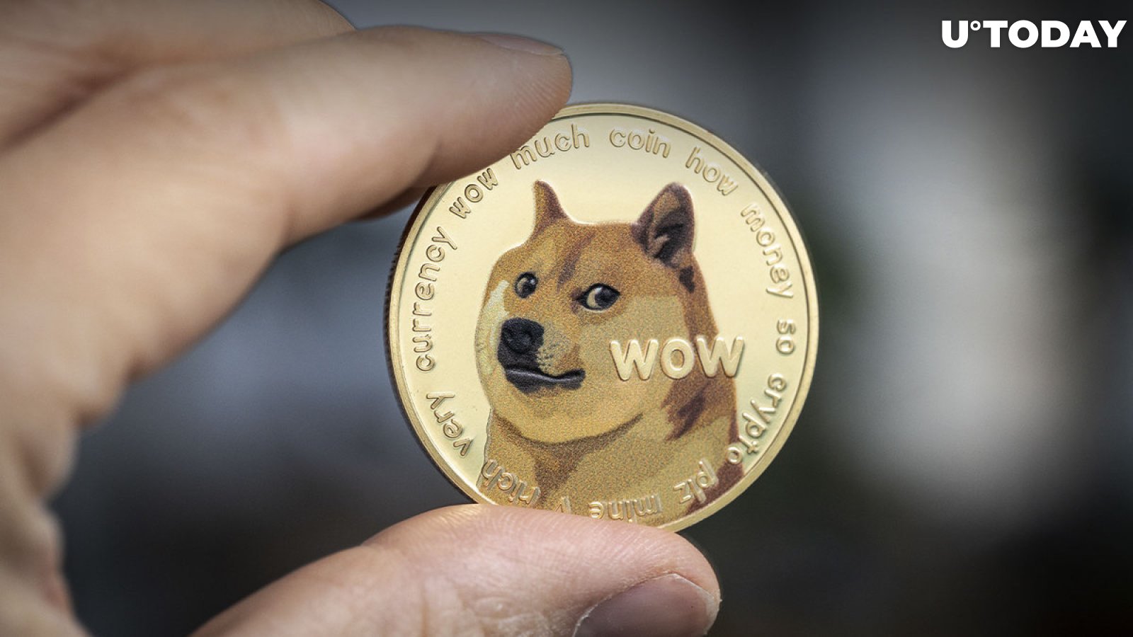 Doge : L&rsquo;Ascension d&rsquo;une Cryptomonnaie Iconique