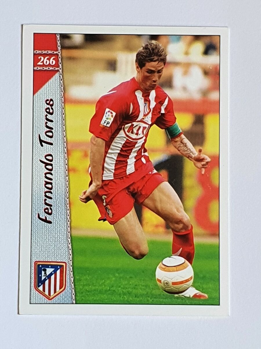 Fernando Torres : Le parcours d'un champion