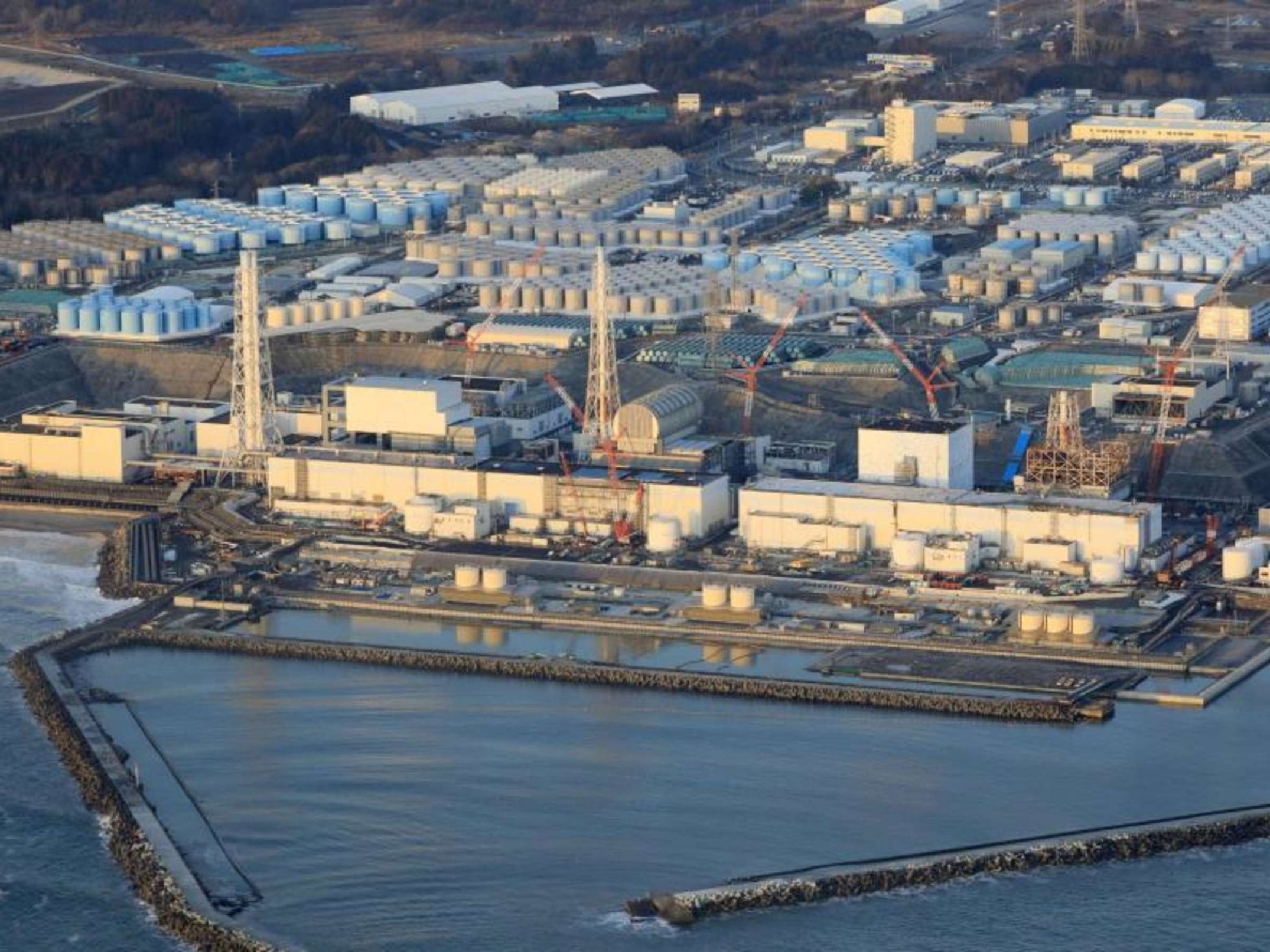 Les conséquences de Fukushima et l&rsquo;avenir de la régénération