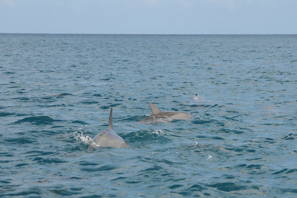 L'Île Maurice : Une destination incontournable de l'océan Indien