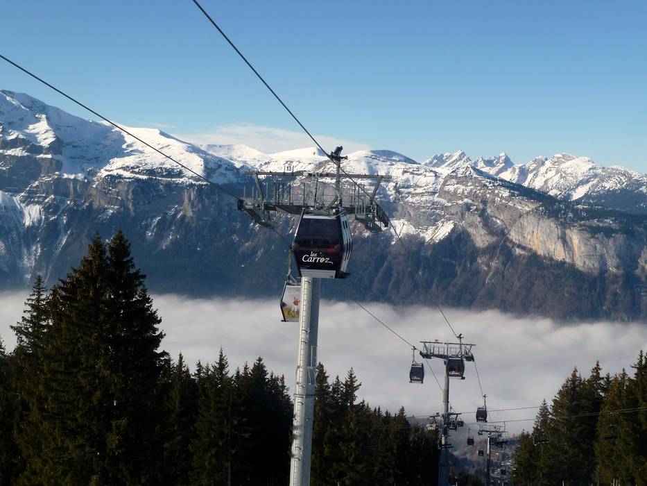 Tout savoir sur le Morillon, le cépage savoyard