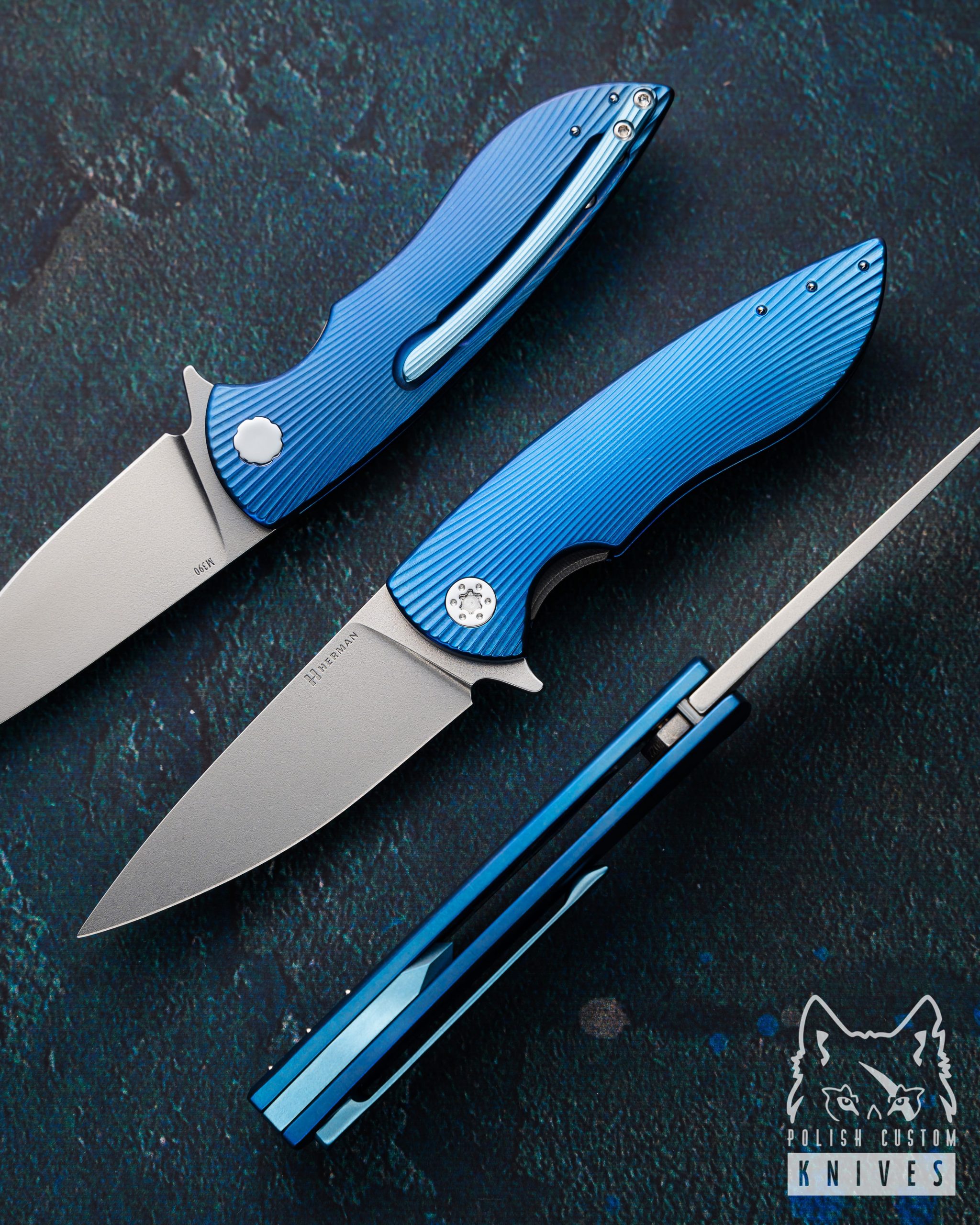 Comprendre les Dangers des Piqûres d&rsquo;Insectes