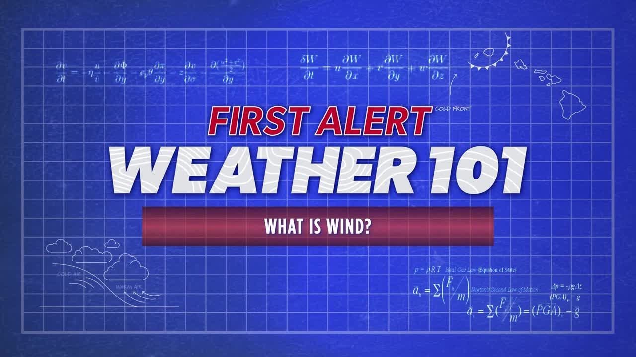 Comprendre les alertes au vent et leur impact