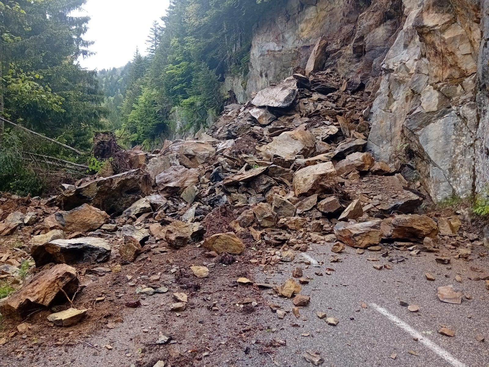 Éboulement au Cormet de Roselend : Impact et Réponses