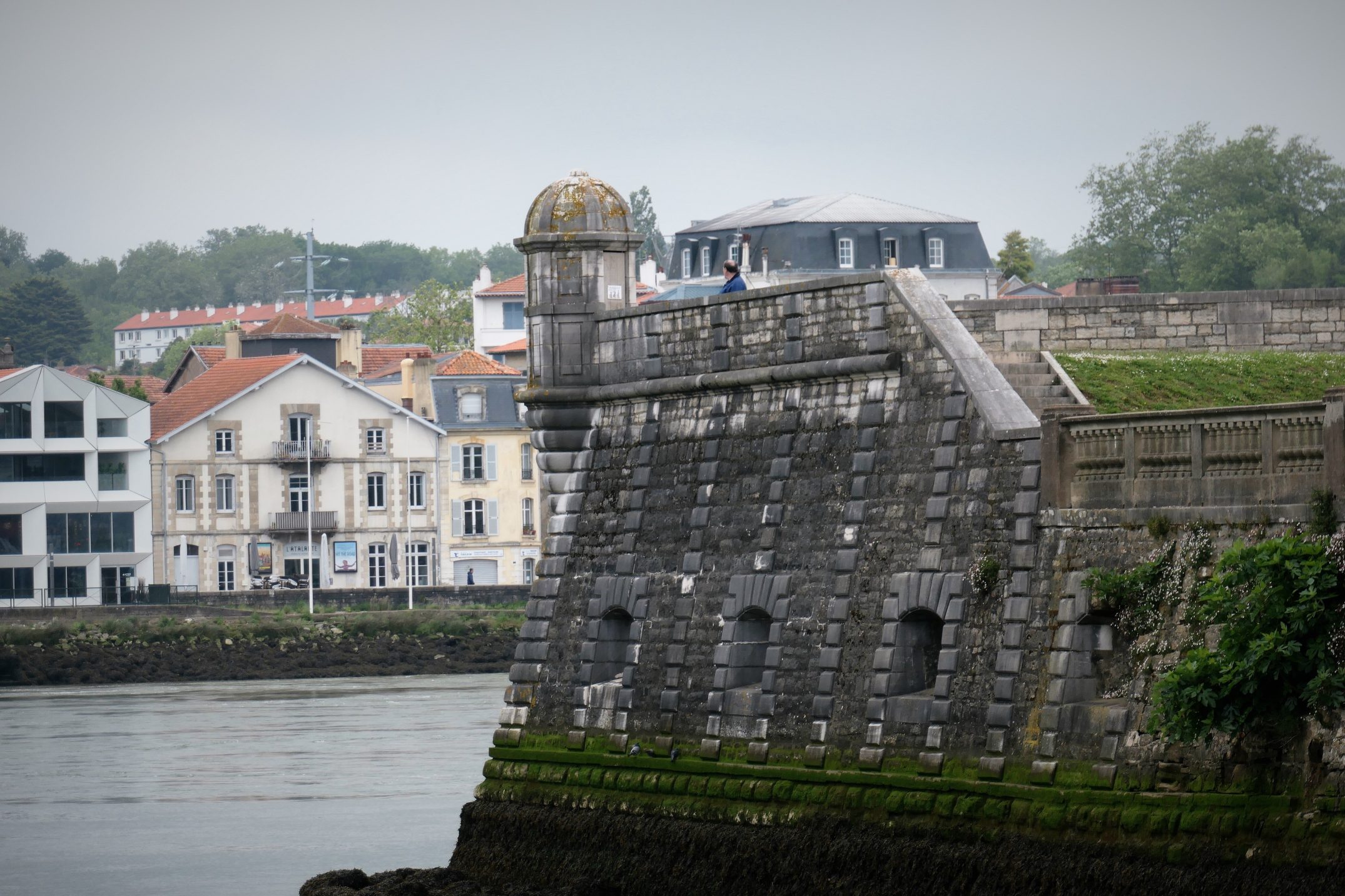 L'Adour à Bayonne : Un Trésor Écologique et Culturel