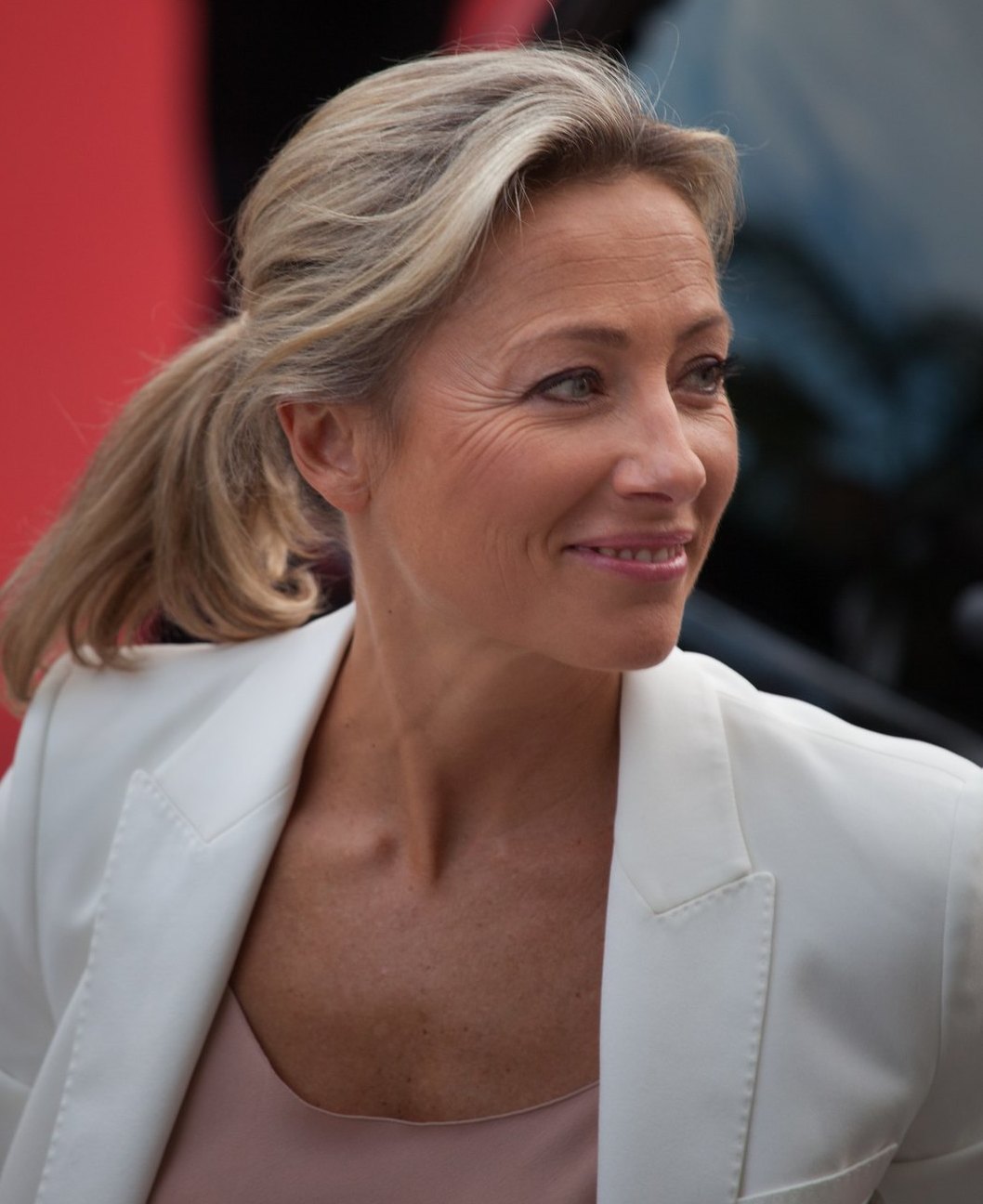 Tout savoir sur Anne-Sophie Lapix