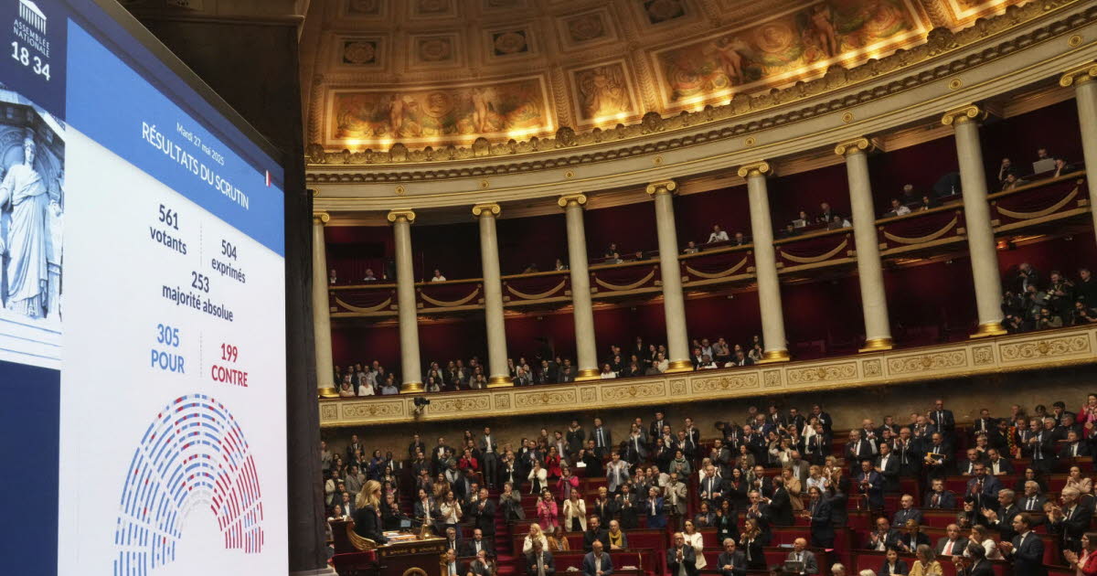 L'Assemblée Nationale : Un Pilier de la Démocratie Française