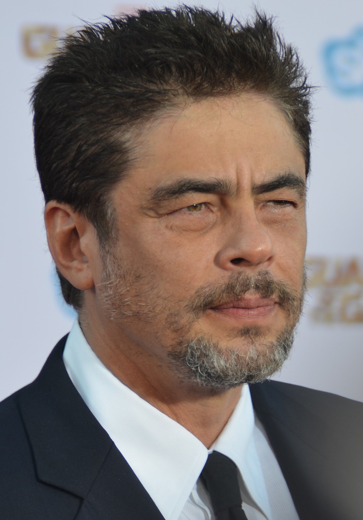 Le parcours cinématographique de Benicio del Toro