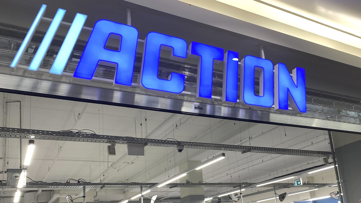 Le cabanon vendu chez Action : Un choix malin pour votre espace extérieur