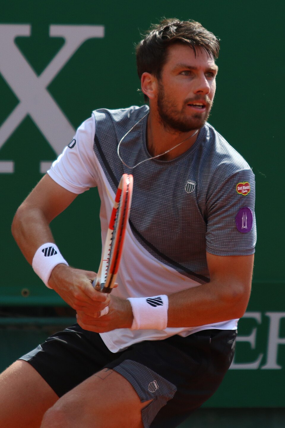 Cameron Norrie : Un Futur Prometteur dans le Tennis
