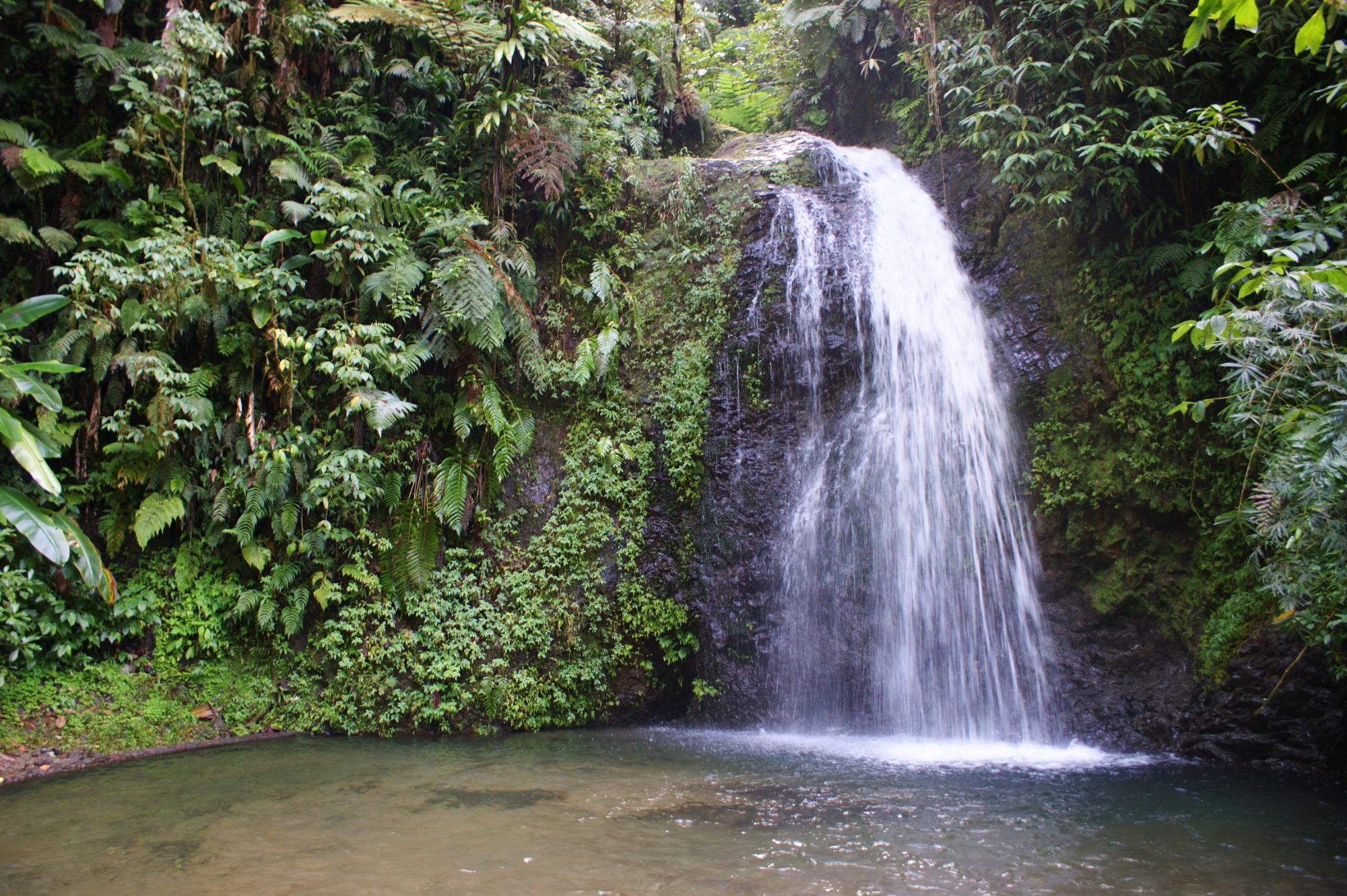 Découvrez la Cascade Martinique, un Paradis Naturel