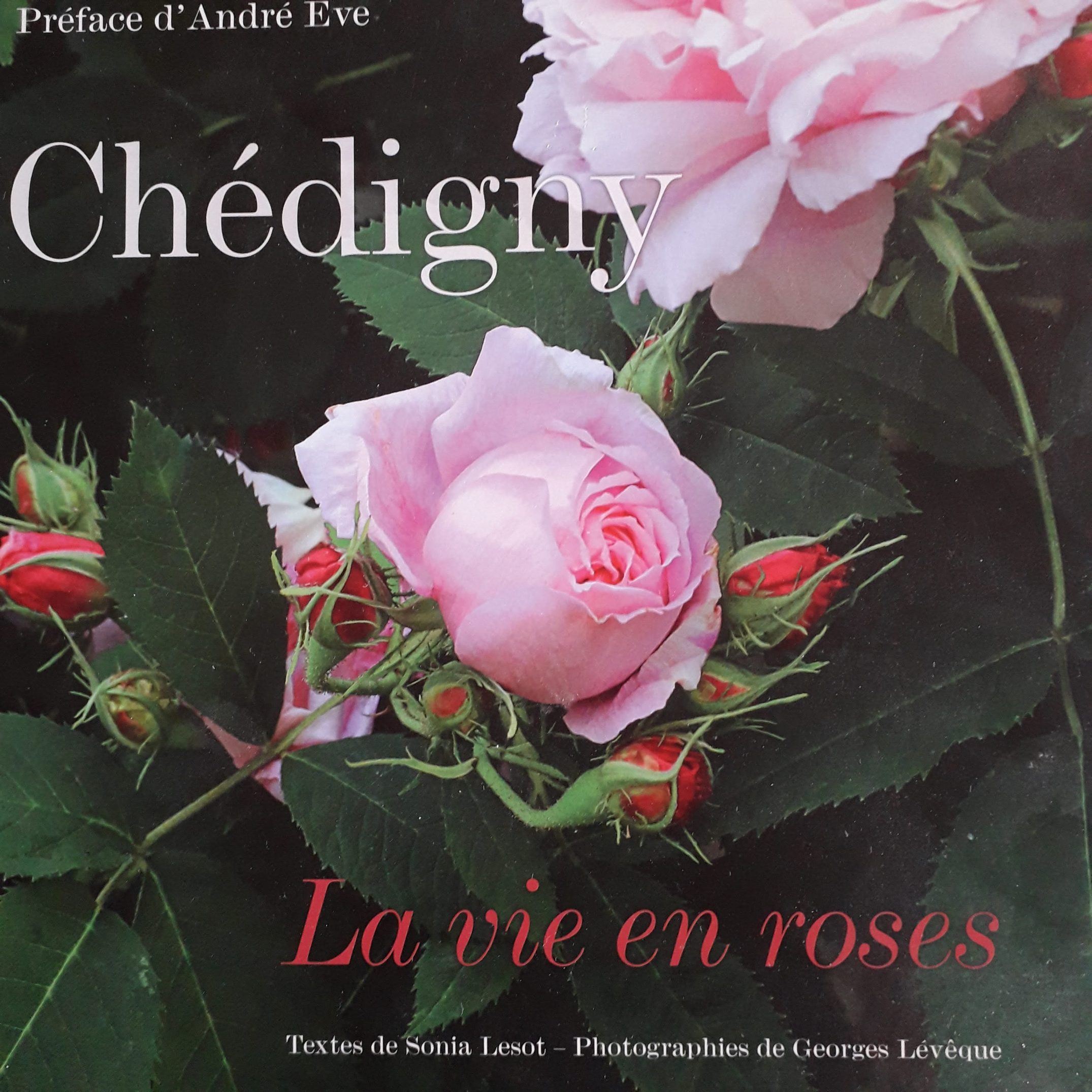 Découverte de Chedigny, un village enchanteur en France