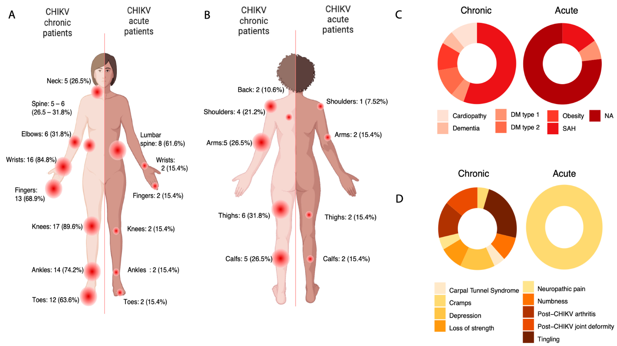Tout savoir sur le chikungunya et ses conséquences