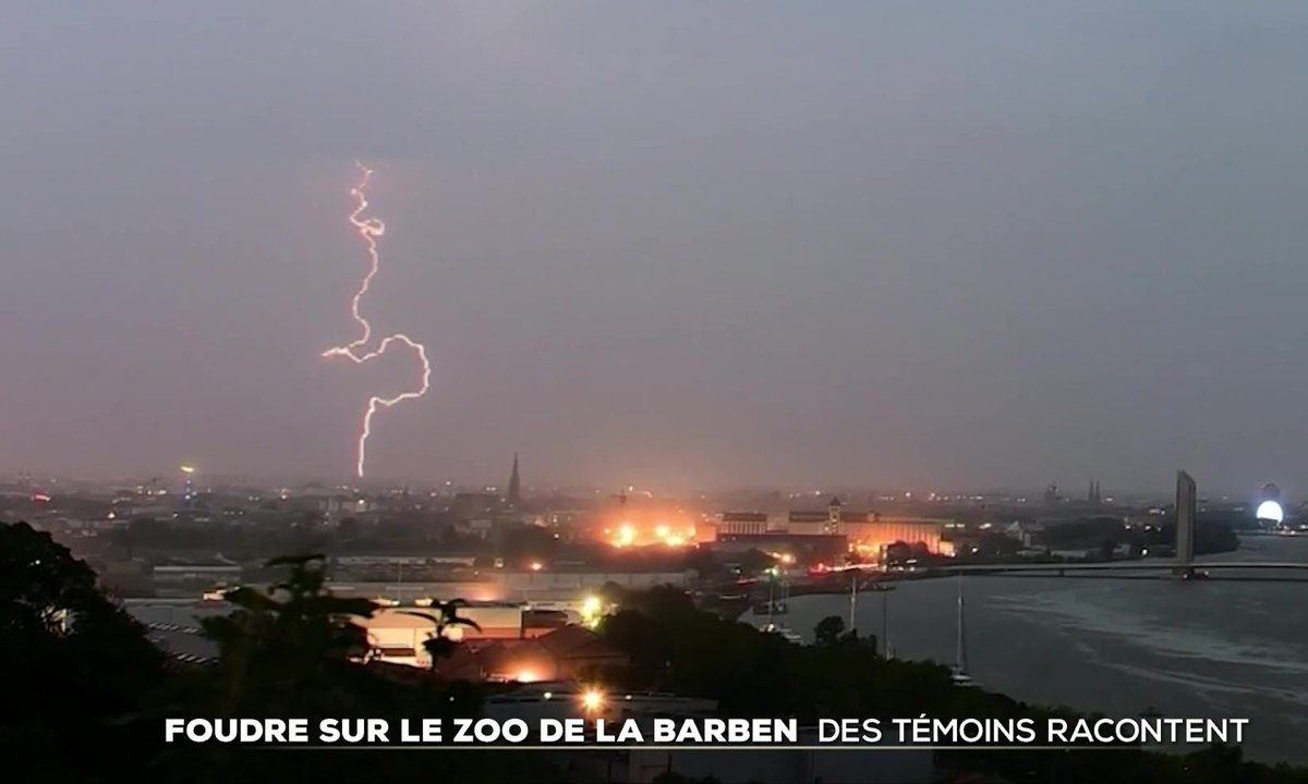 Foudre au Zoo de La Barben : Détails et Conséquences