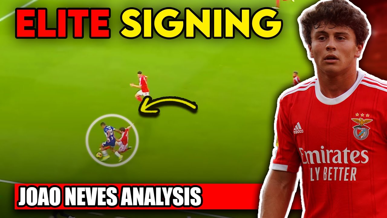 João Neves : Le nouveau prodige du football portugais