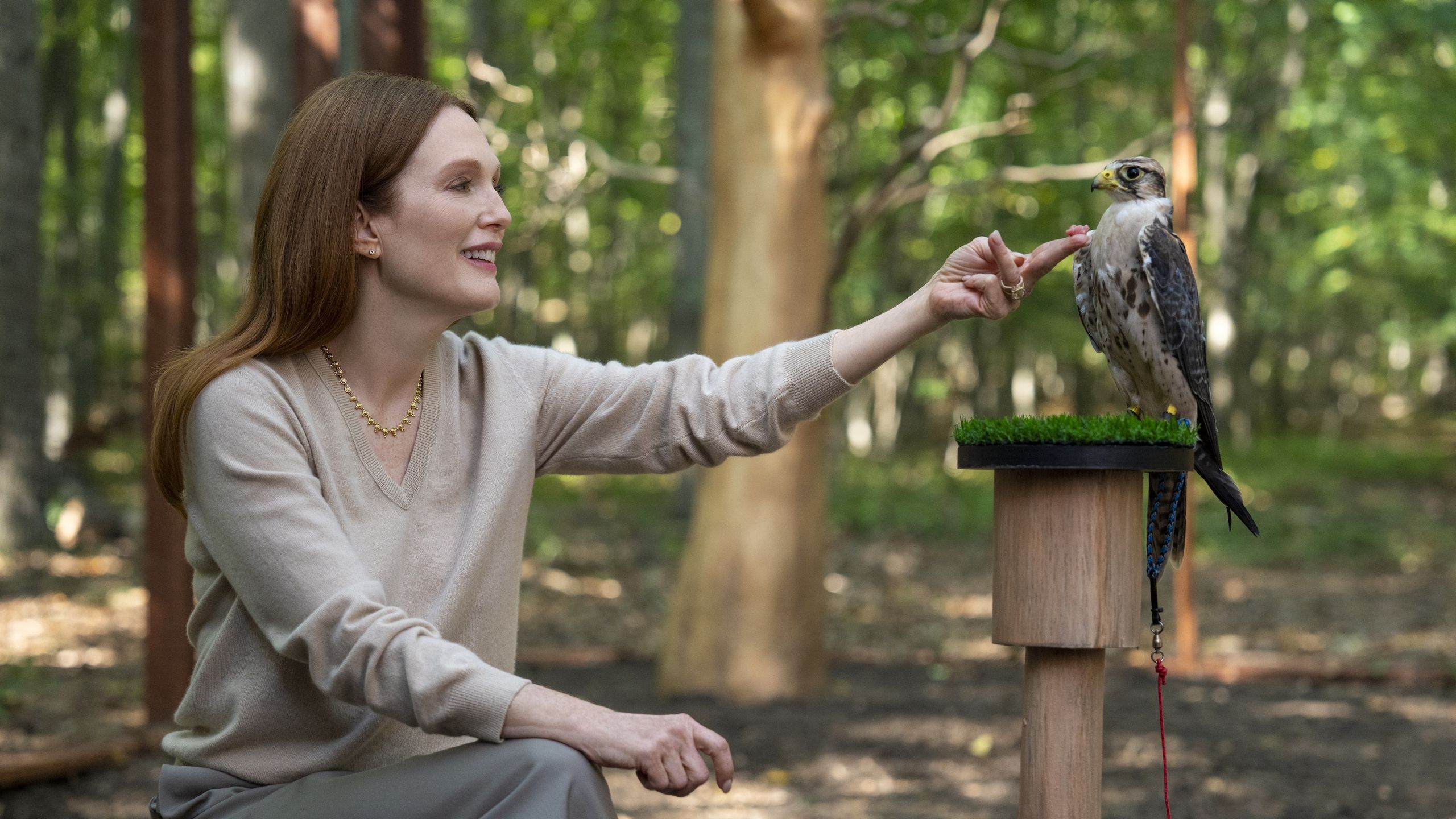 La Carrière Exceptionnelle de Julianne Moore