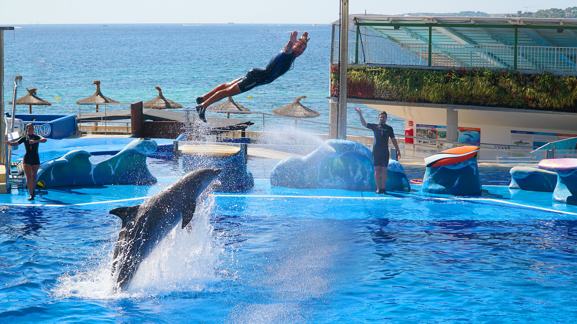 Marineland : le monde fascinant des merveilles marines