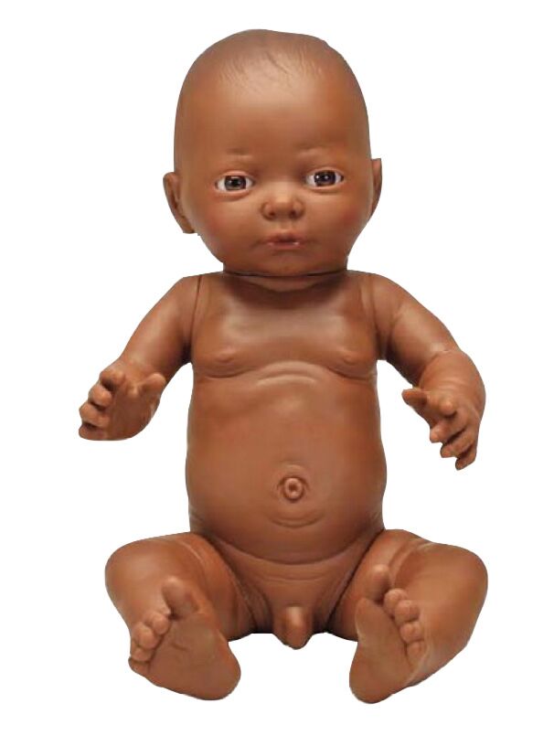 Noah : Le symbole de la résilience et de l'espoir