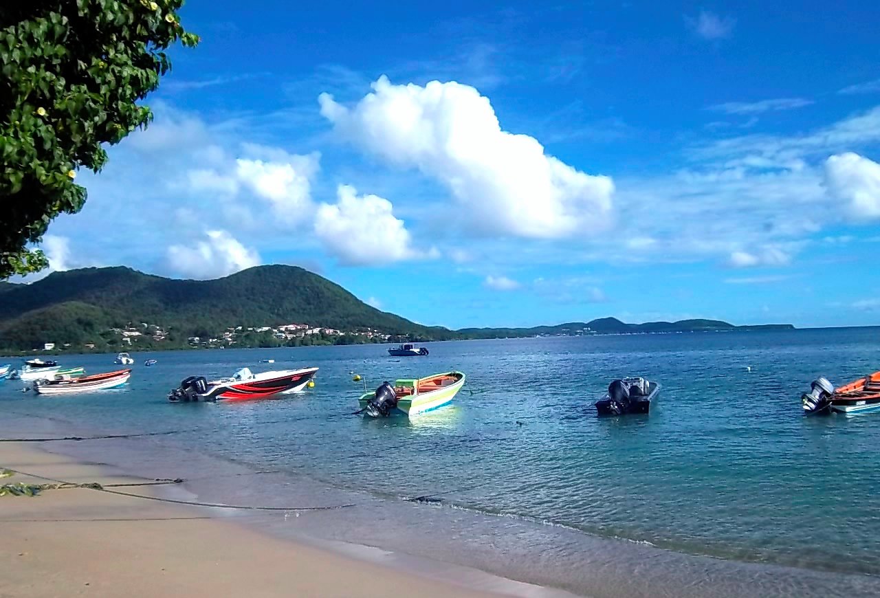 La Plage des Salines : Un Joyau de la Martinique