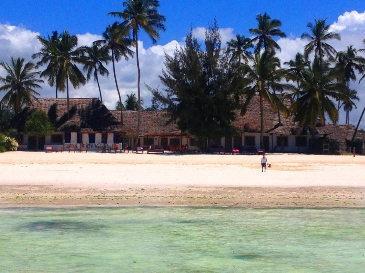 Zanzibar : L'île des épices et des merveilles touristiques