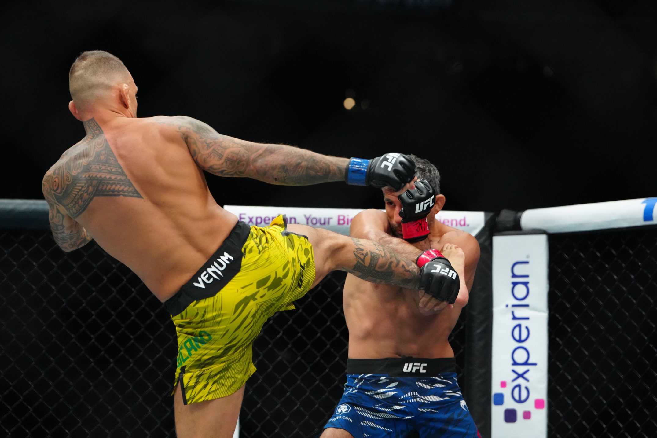 Beneil Dariush : Parcours d'un champion de l'UFC