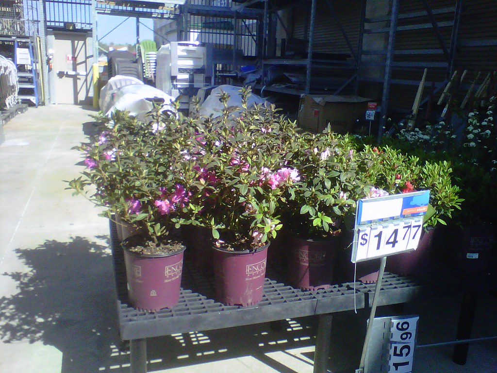 L'évolution de BlackBerry : Une nouvelle ère en 2023