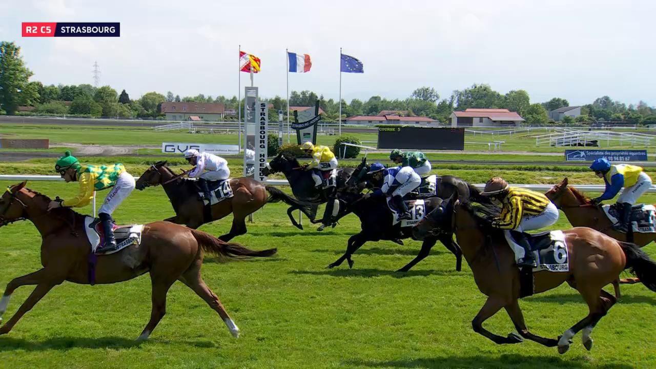 Tout savoir sur Equidia : l'univers des courses hippiques