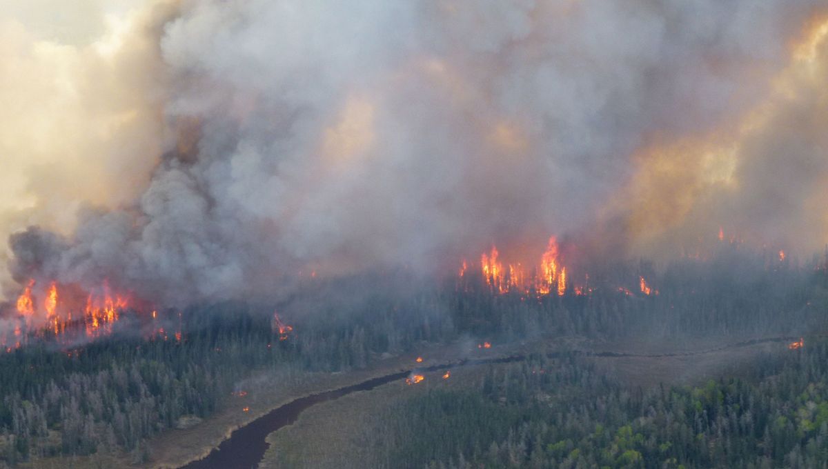 La fumée entre le Canada et la France : un défi environnemental