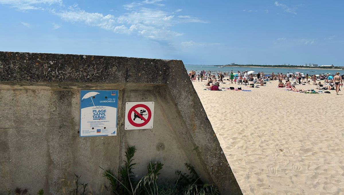 Interdiction de fumer sur les plages : une nécessité sociétale