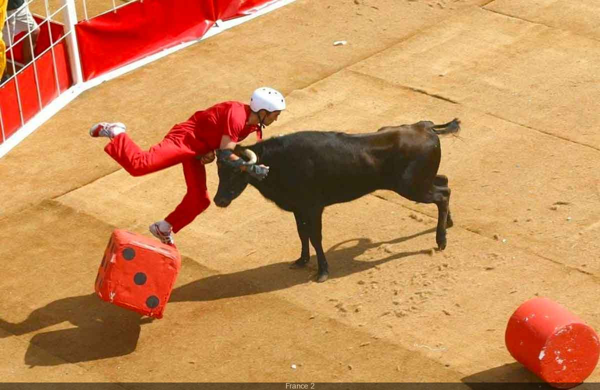 Intervilles : Un Retour Triomphal et Nostalgique