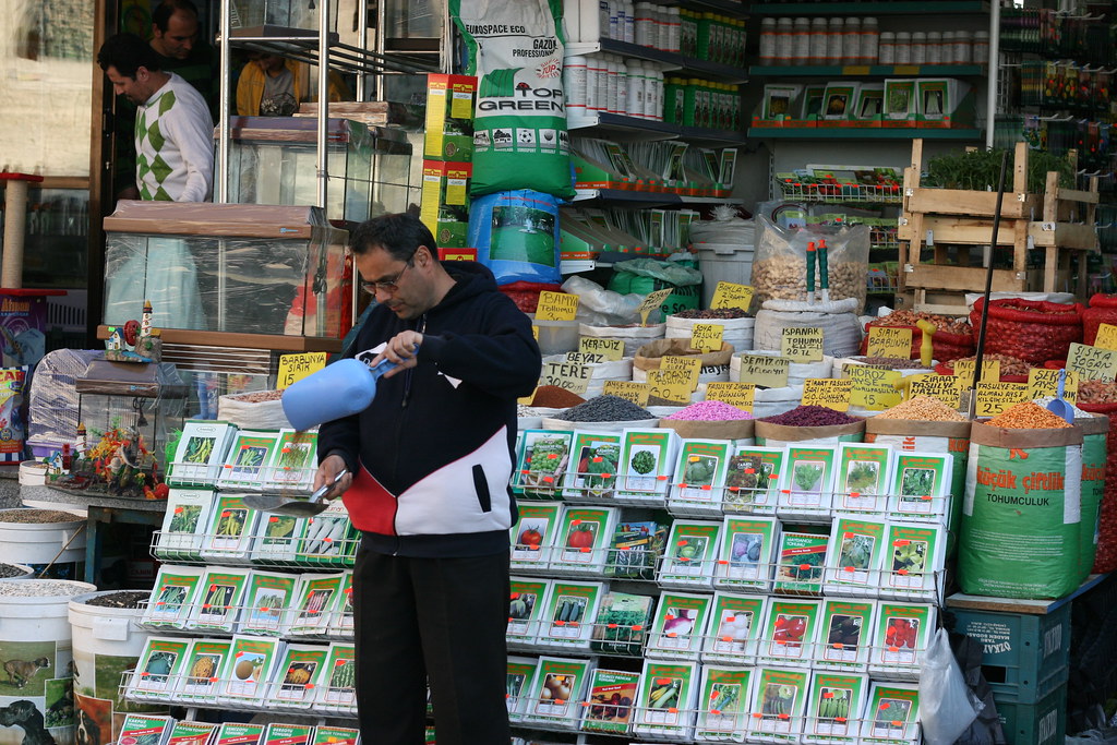 Istanbul : Une ville au carrefour des civilisations