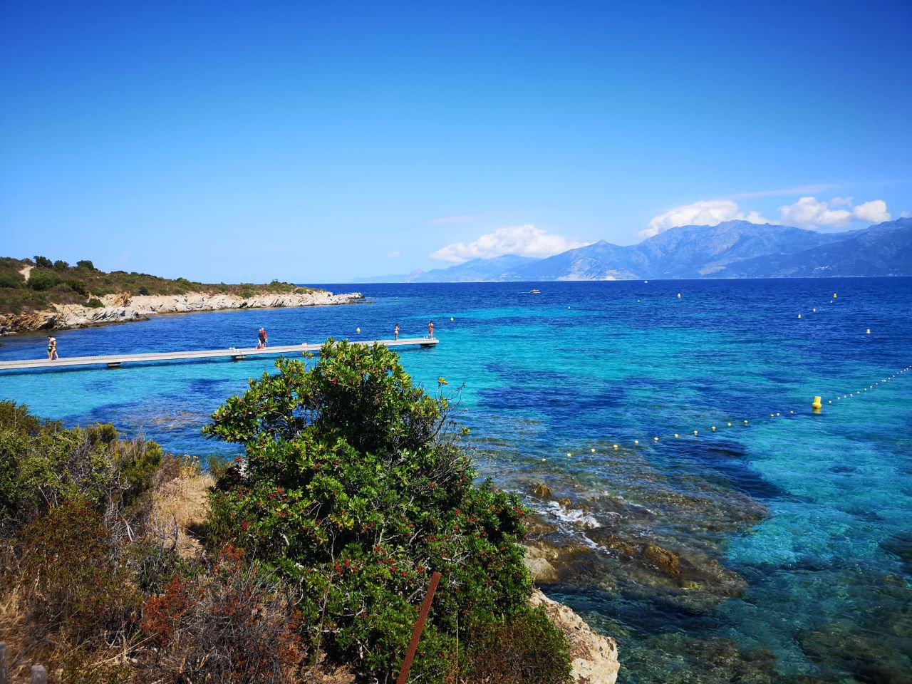 À la Découverte de la Plage du Lotu en Corse