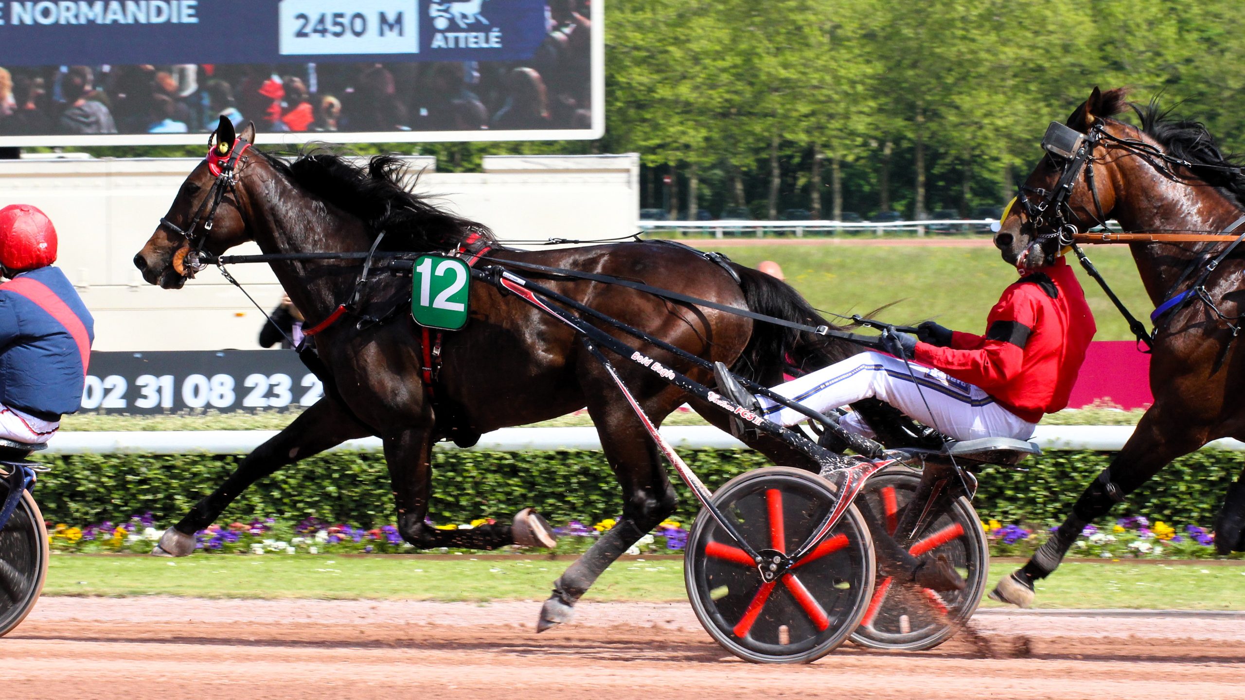 Les résultats des courses Quinte : L&rsquo;actualité du Turf
