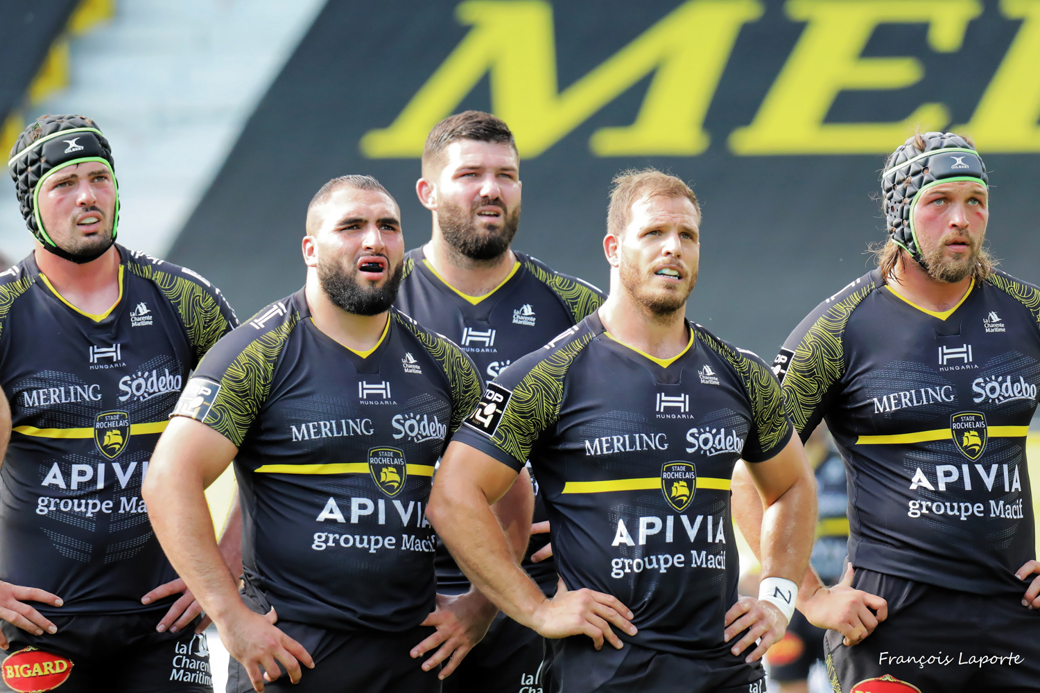 Le Stade Rochelais : Un pilier du rugby français